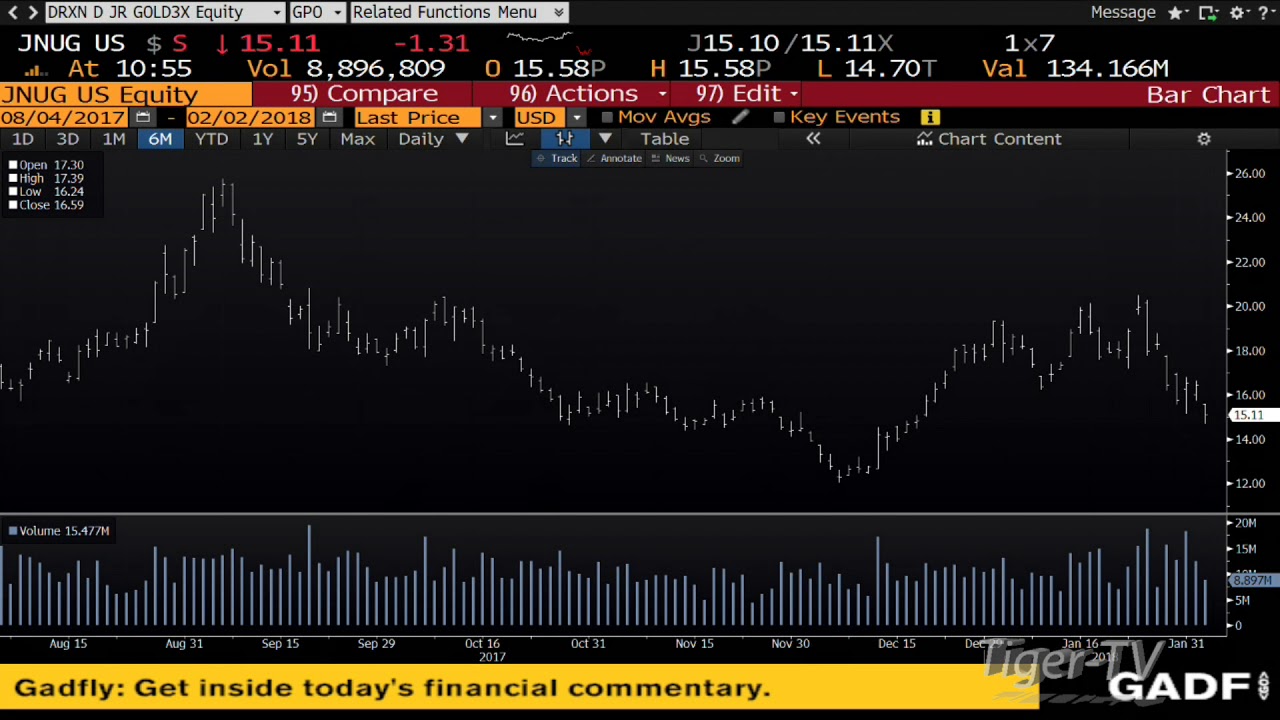 Going long in JNUG