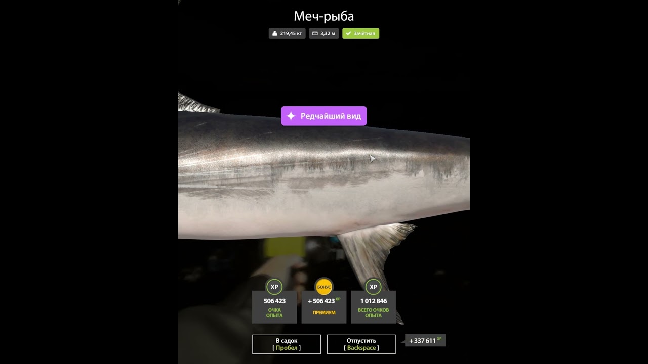 #rr4 меч)  | #shorts #русскаярыбалка4 #russianfishing4 #fishing #rr4 #рр4стрим