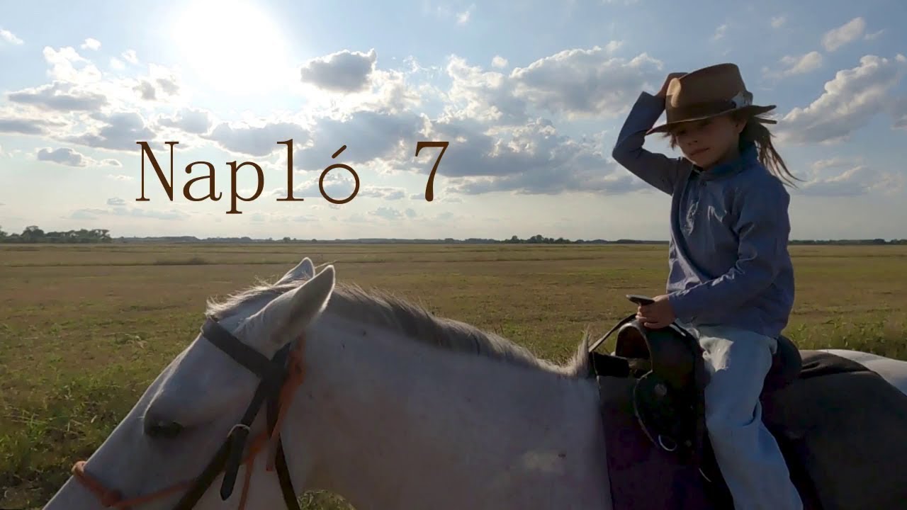 Patanyomok - Napló 7
