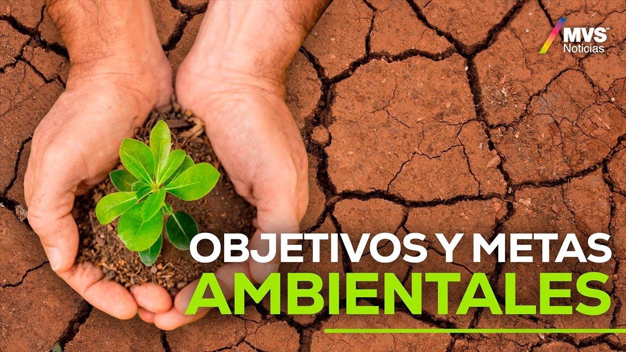 Objetivos y metas AMBIENTALES | RETOS con Lety Benavides