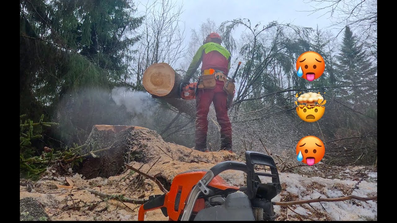 Ei pelaa, tällä sahalla ei kertakaikkiaan voi sahata. Husqvarna 572 xp And 20