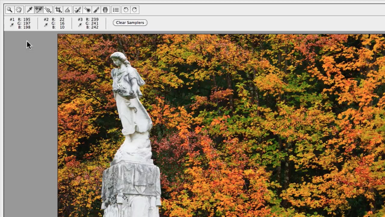 Camera Raw White Balance Correction Using Color Sampler Tool