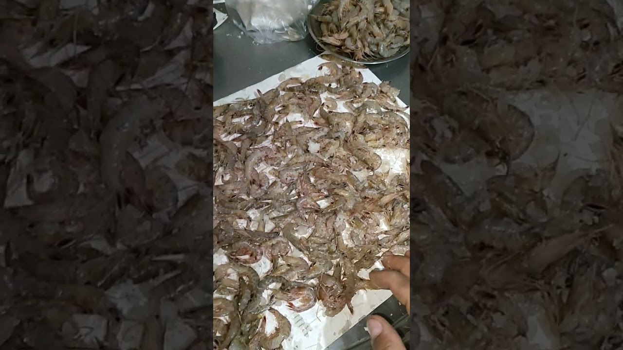 ازاى تملح الجمبرى العقر فى البيت للصيد