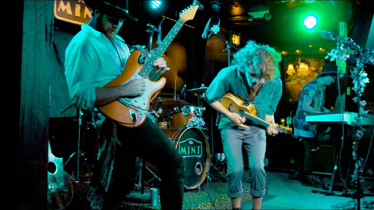 fin - Ship in a Bottle | Live Concert Performance