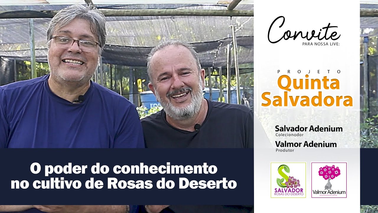 Salvador e Valmor Adenium se uniram para fazer um mega curso sobre o cultivo de rosas do deserto