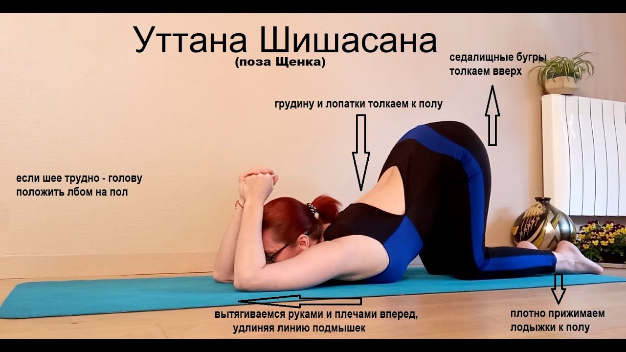 Одна поза против многих проблем с телом. Поза Щенка