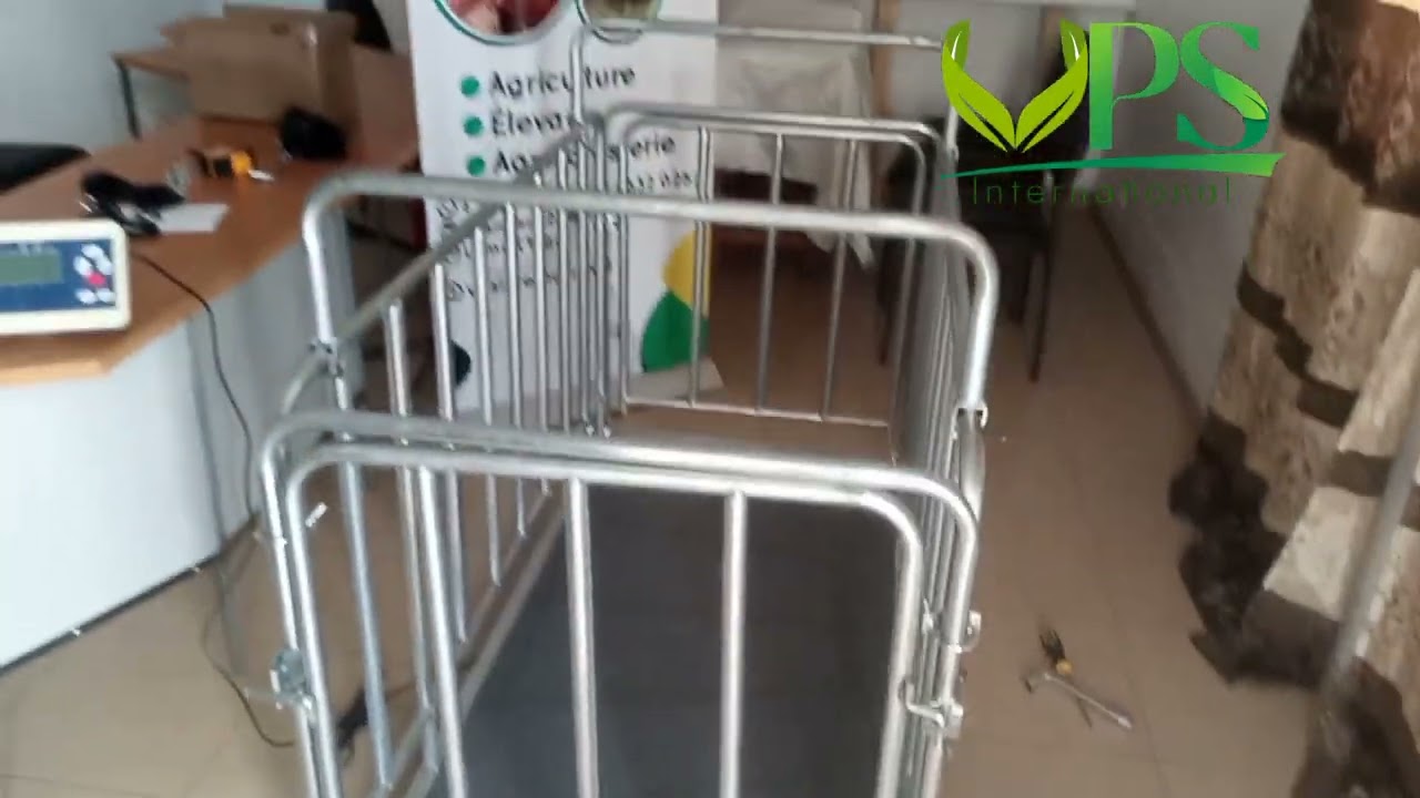 Balance pour bétail/ livestock scale