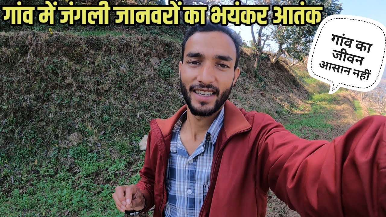 गांव में जंगली जानवरों का भयंकर आतंक || Pahadi Lifestyle Vlog || Pahadi Prakash Goswami 
