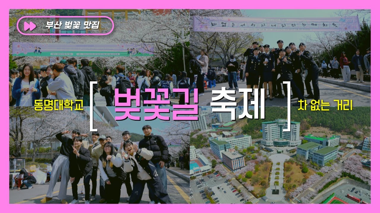 🌸부산 숨겨진 벚꽃 맛집! 2025년 동명대학교 벚꽃 축제🌸