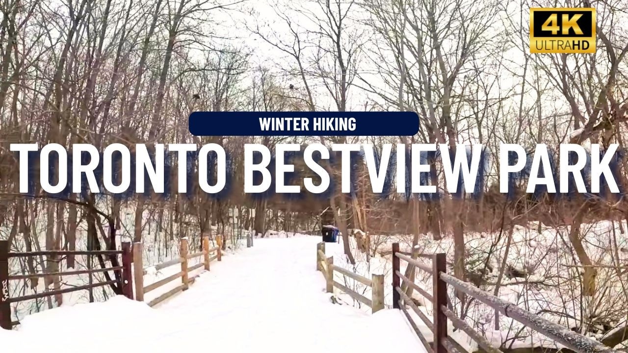 Pristine Winter Hiking | Bestview Trail Toronto | Serene Snowy Ravine Path Walk 4K