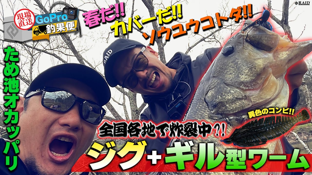 現場直送！GoPro釣果便!!『全国各地で炸裂中?!ジグ+ギル型ワーム編』ゆたかボーイ／岡　友成