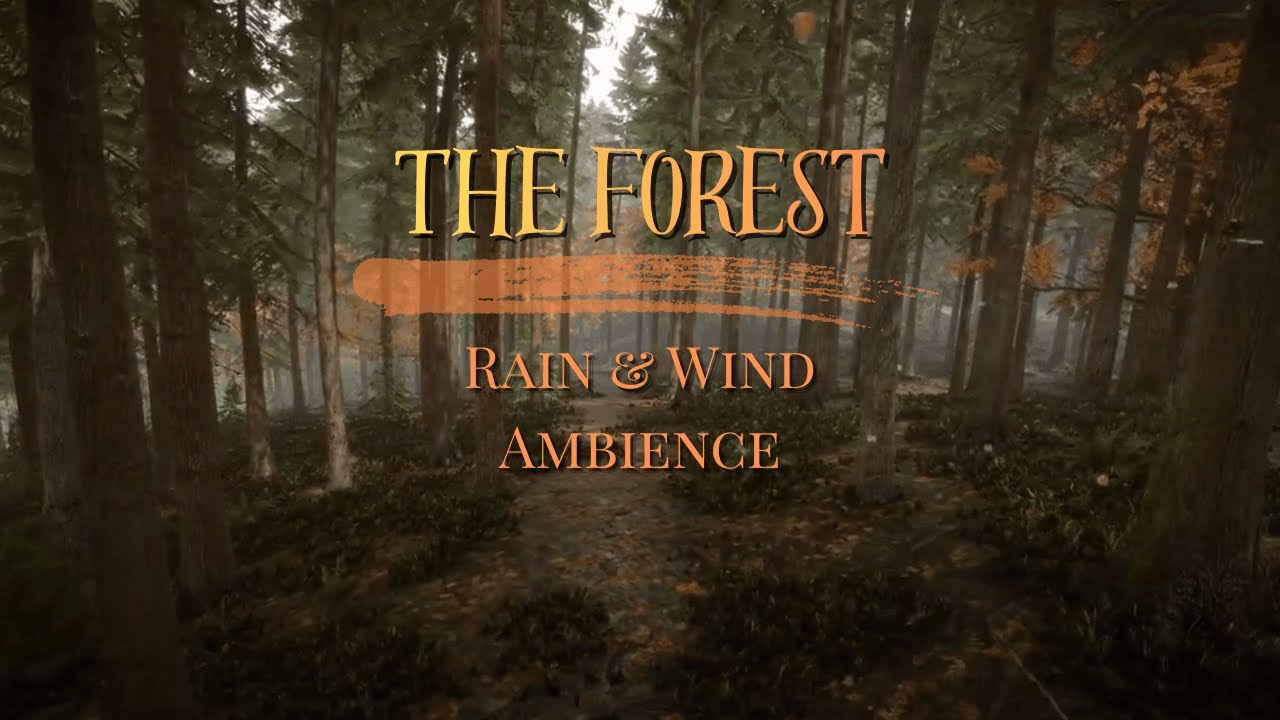 The Forest | Relaxing Rain & Wind Sounds