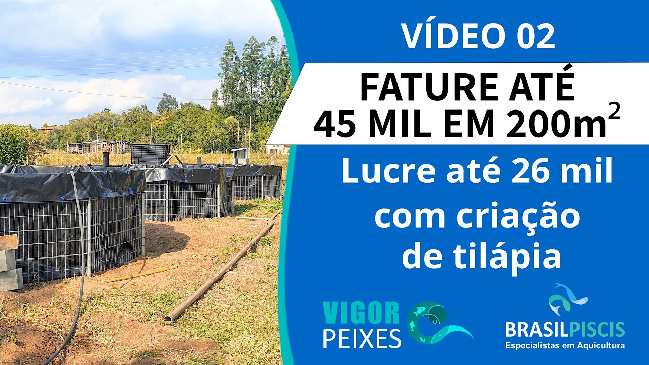 Faturando 45mil em 200m²!  Lucratividade criação de tilápia Tanques Elevados na prática! - Vídeo 132