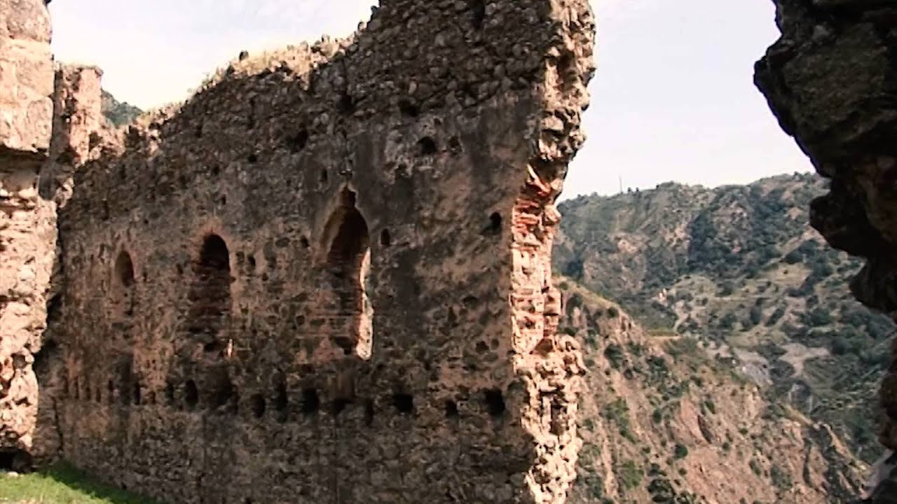 CALABRIA TERRA BIO: BERGAMOTTO