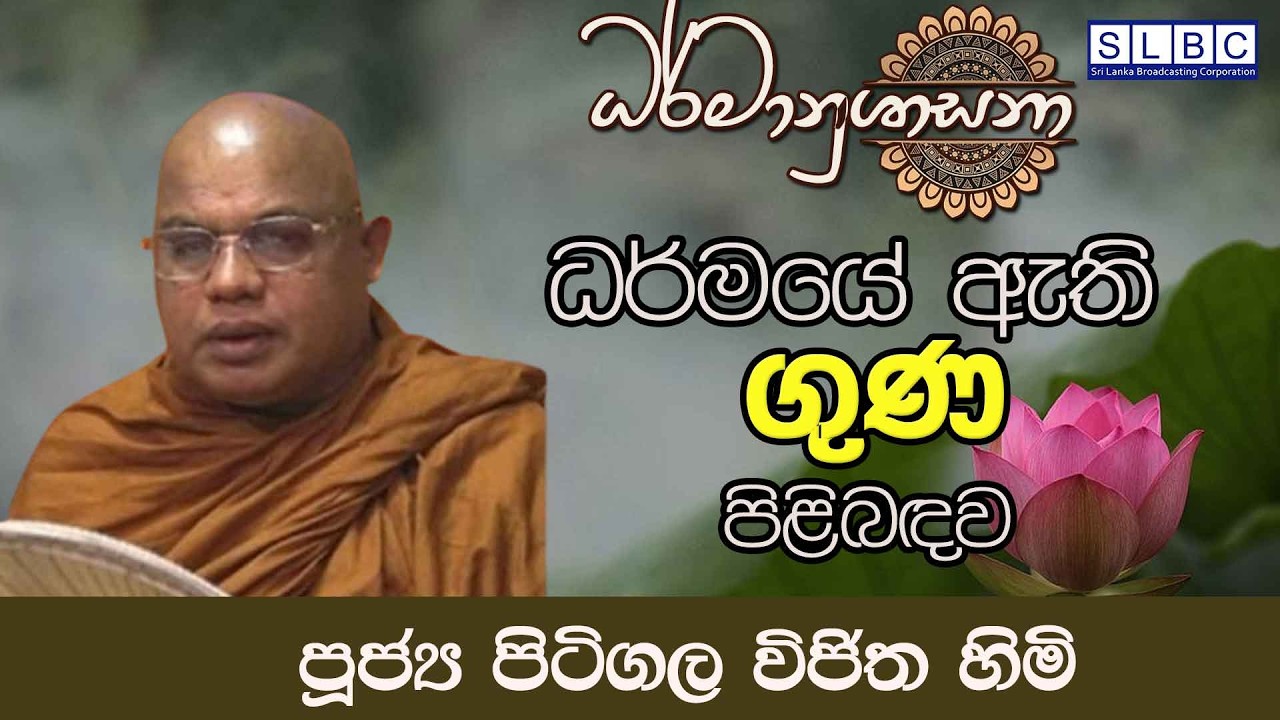 2026 FEBRUARY 11 | 08 00 PM | ධර්මයේ ඇති ගුණ පිළිබඳව  | පූජ්‍ය පිටිගල විජිත හිමි