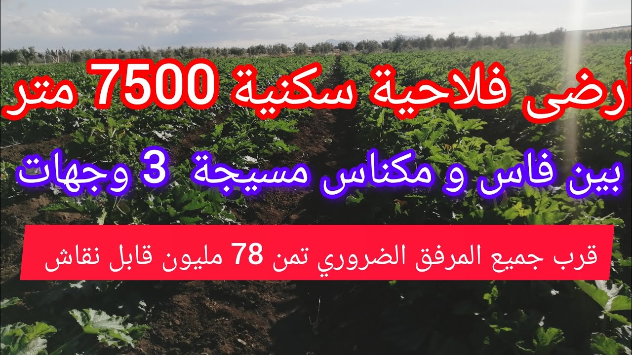 أرضى فلاحية سكنية 7500 متر مربع تيتر محفضة بين فاس و مكناس 