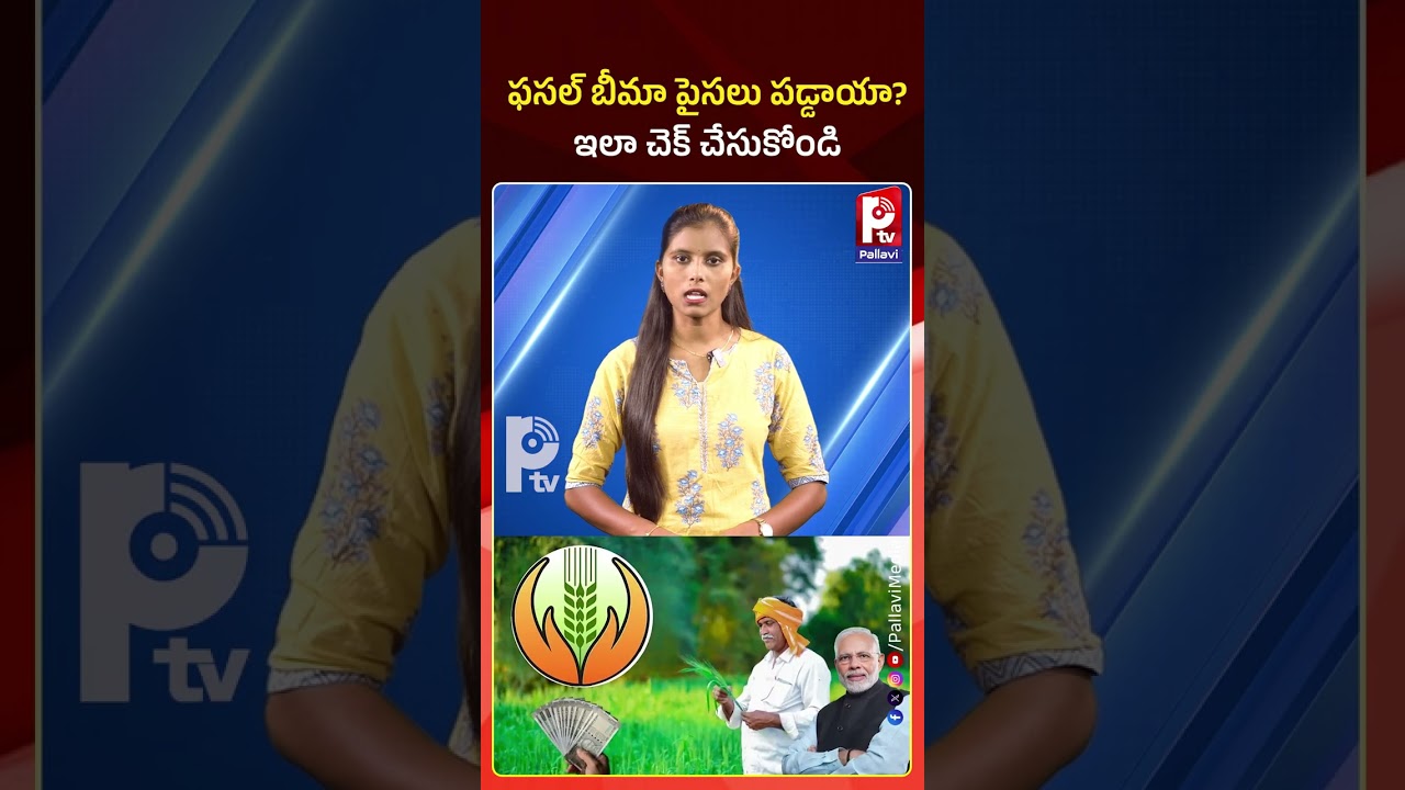 ఫసల్ భీమా పైసలు పడ్డాయా.. ఇలా చెక్ చేసుకోండి | Have You Received Your Crop Insurance Money