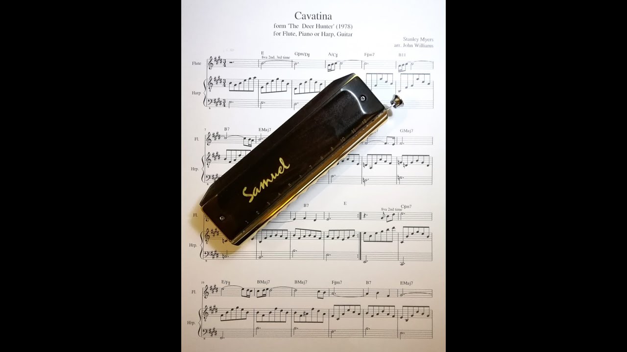 Cavatina Theme from Movie The Deer Hunter - Harmonica Cover