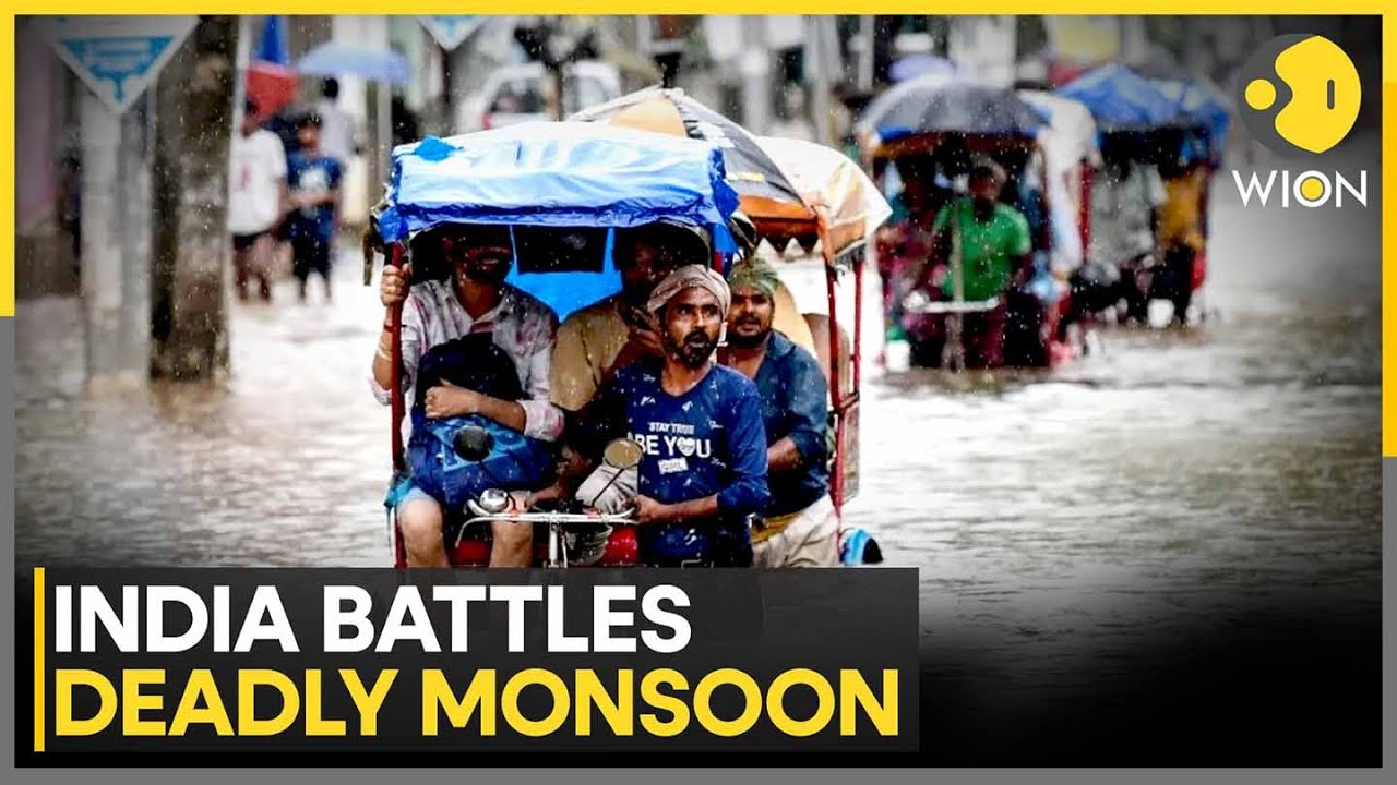 India's Deadly Floods: Himachal, Punjab Worst-Hit Regions | Heavy Rains Continue | WION