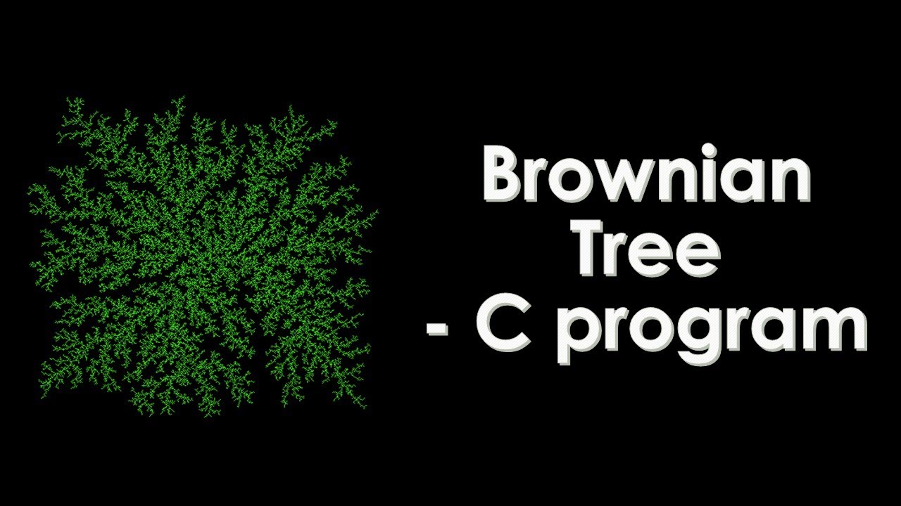 Simulate Brownian Tree Fractals using C | Graphics