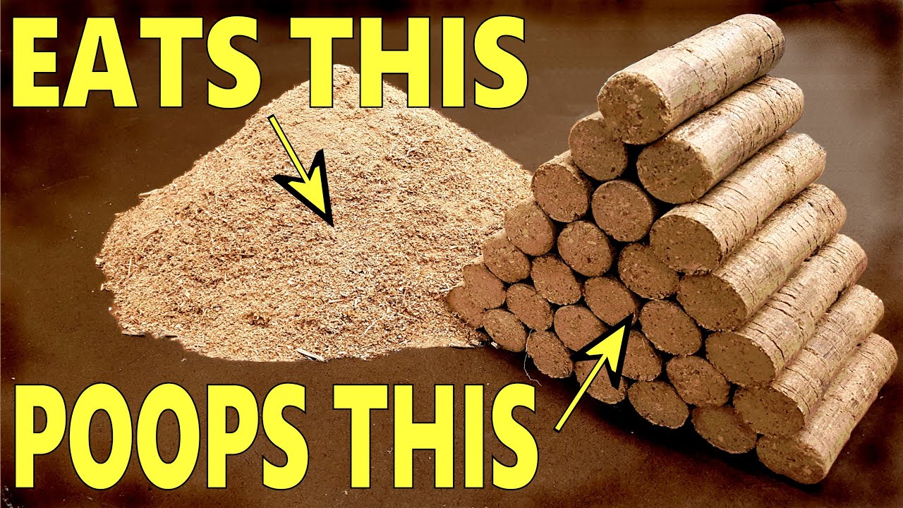 Making a hydraulic briquette press