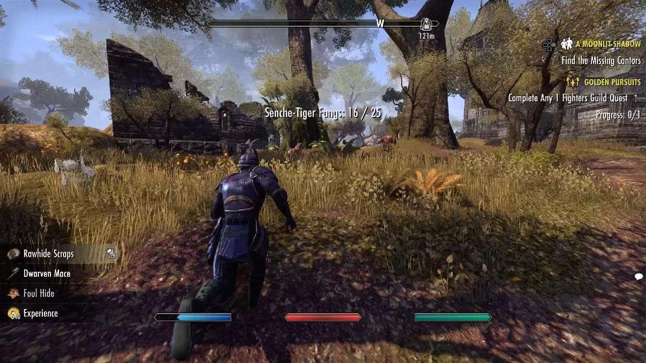 The Elder Scrolls Online 