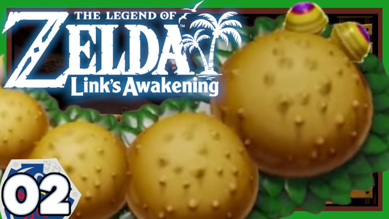 Der wurmige Wurmpalast!💭| The Legend of Zelda: Link’s Awakening | #2