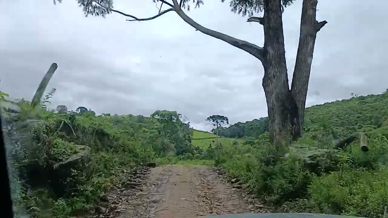 Trem bão!