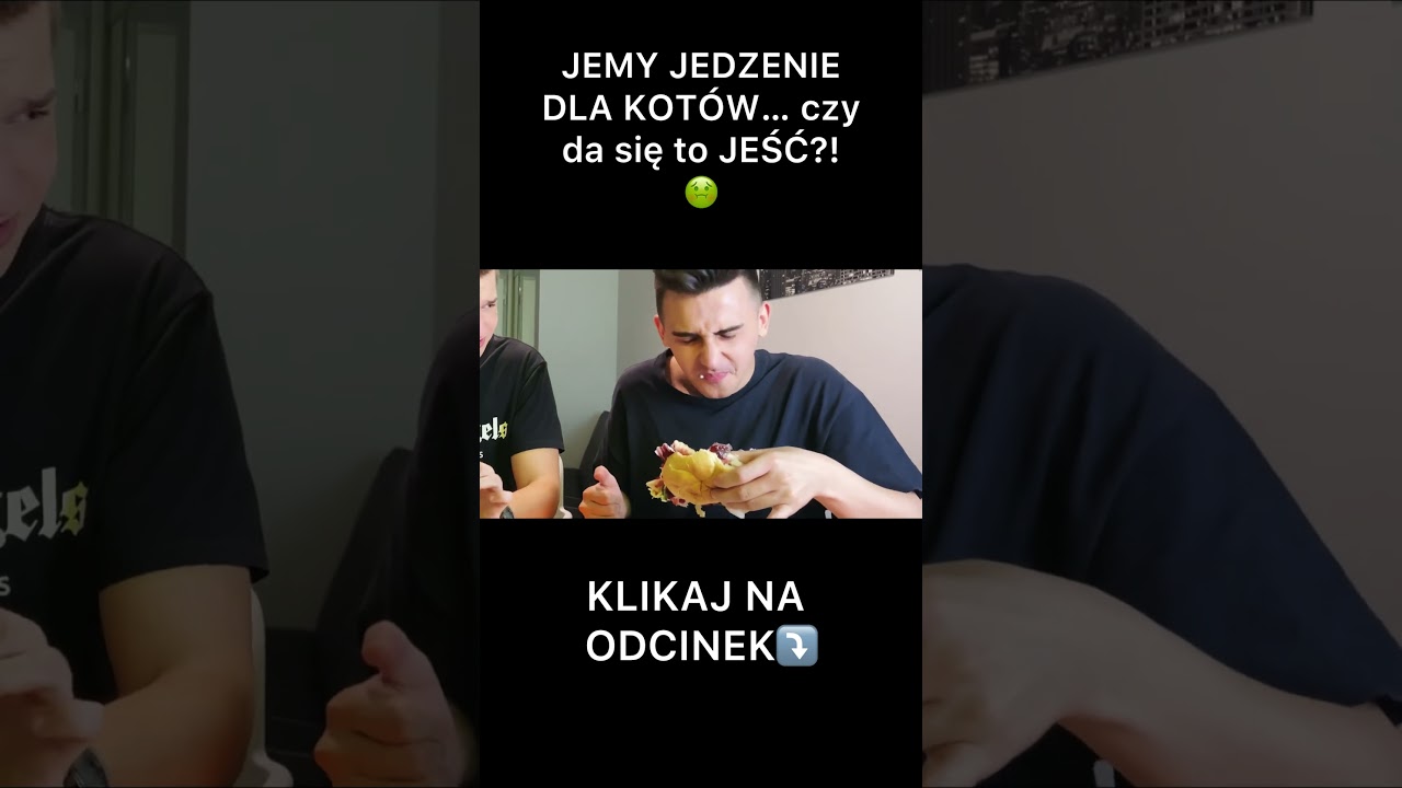PR&Oacute;BUJEMY JEDZENIE DLA KOT&Oacute;W&hellip; czy da się to JEŚĆ?! 🤢