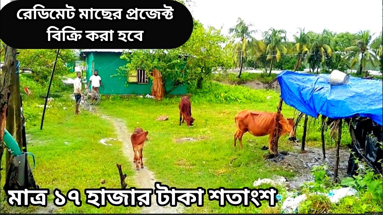 বাড়ি বিক্রি করা হবে মাছের খামার সহ Land Sell 01878681020