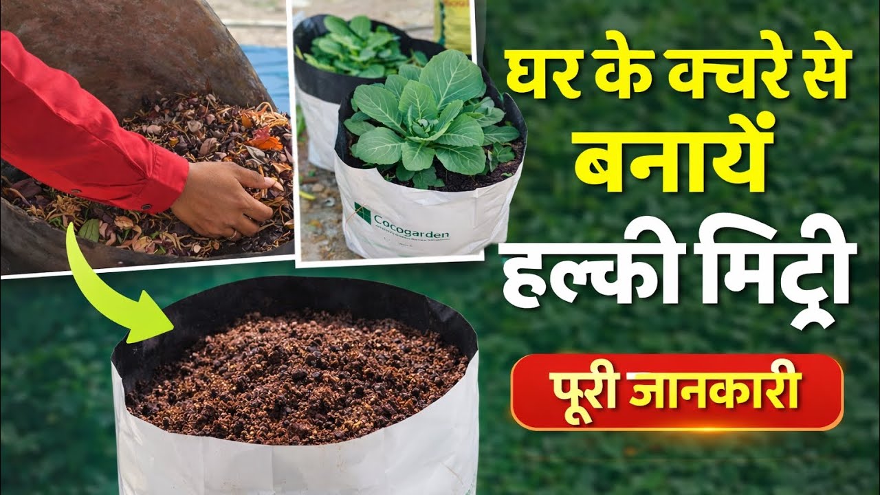 घर के कचरे से बनाएं सबसे हल्की और पौष्टिक मिट्टी | 100% ऑर्गेनिक तरीका #OrganicGardening
