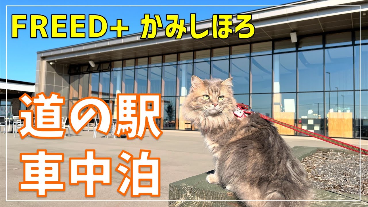 FREED+で道の駅車中泊！道東ドライブで上士幌の穴場グルメを堪能！【阿寒湖・摩周湖・屈斜路湖の旅Part1】