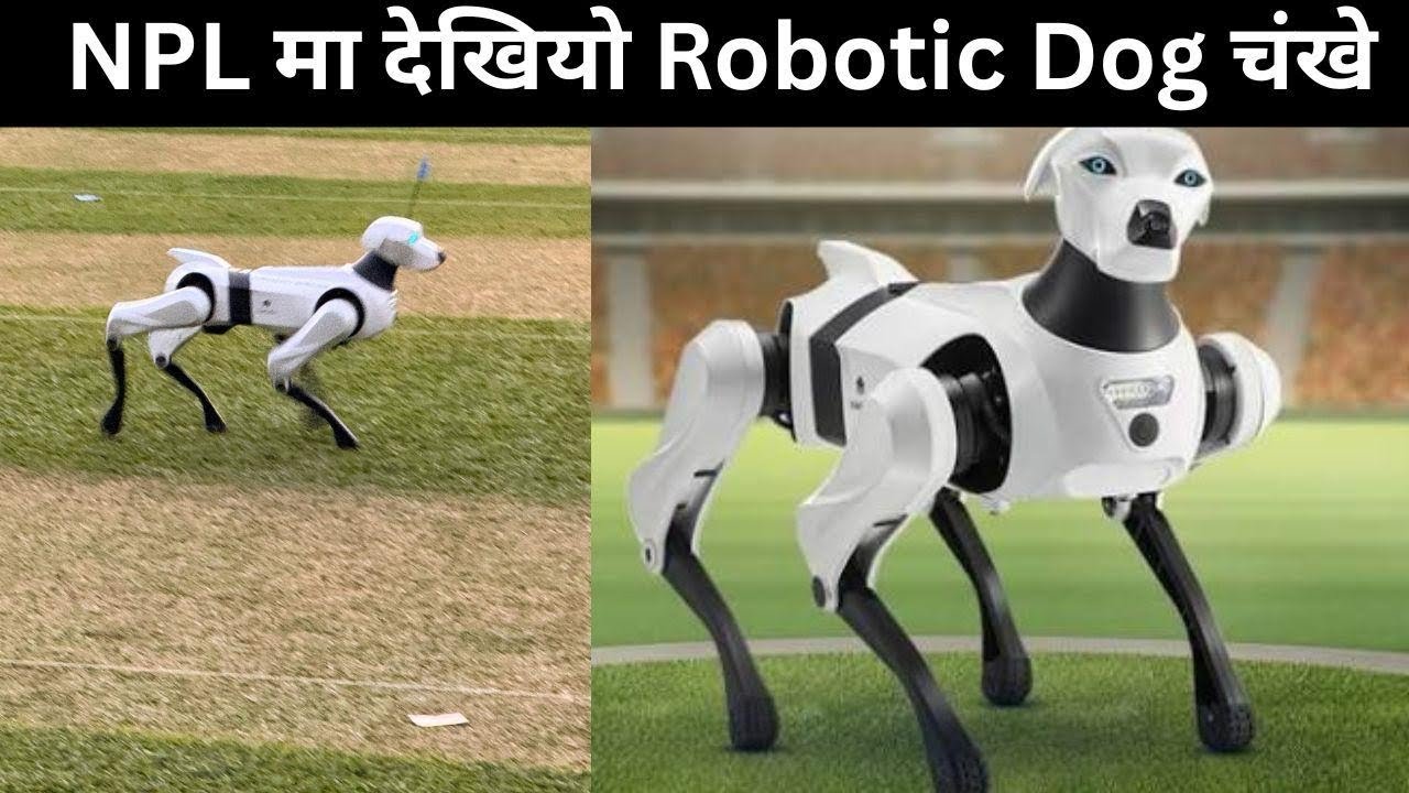    NPL मा देखियो Robotic Dog चंखे ! TU Cricket Ground Latest Update 