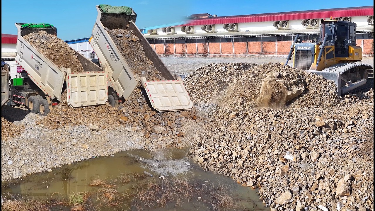 Interesting!!SHANTUI Bulldozer Pushing Stone Into Water With 25T Dump Trucks Transporting Stone