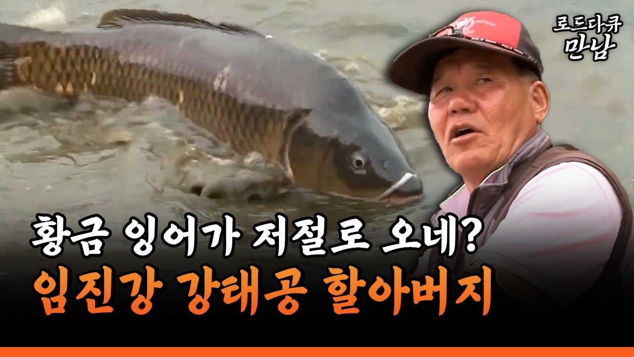[로드다큐 만남 82-2] 황금 잉어가 저절로 오네? 임진강 강태공 할아버지