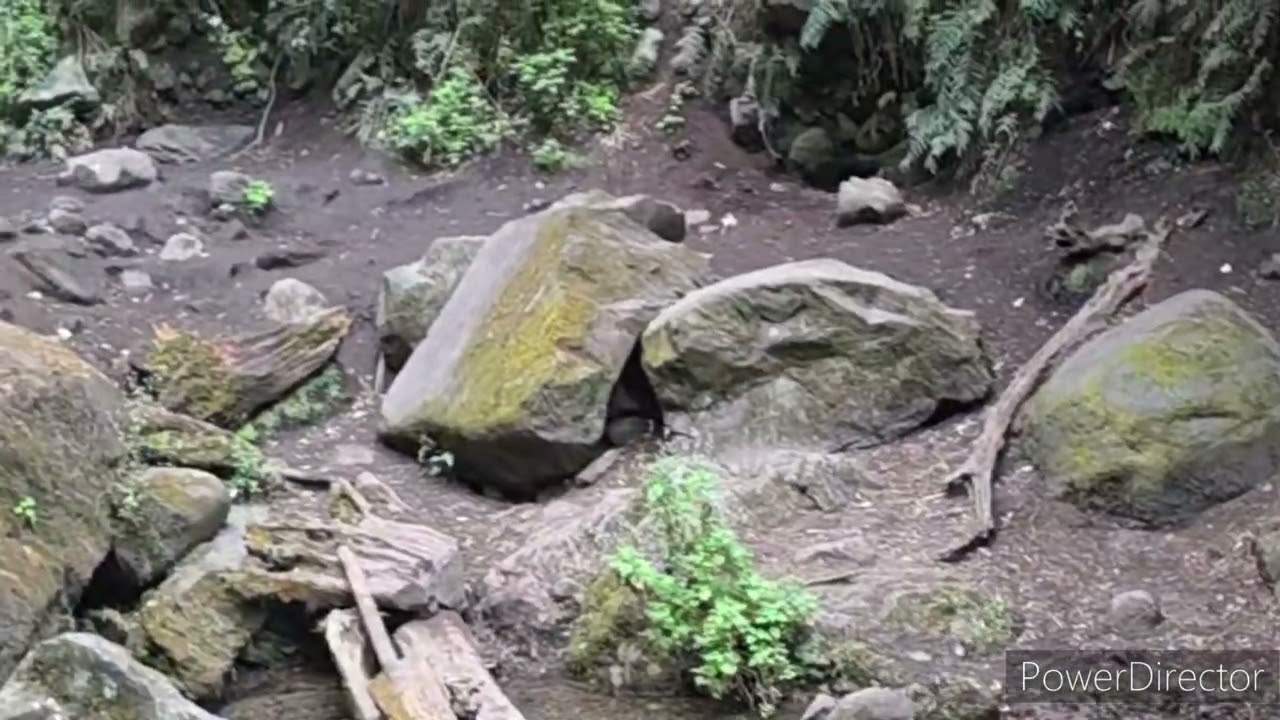 Vas irr..... a la cascada la burbuja?