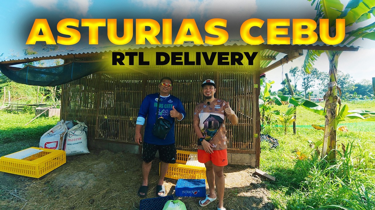 Delivering RTL Chickens to Asturias Cebu | Loading Day with Ador