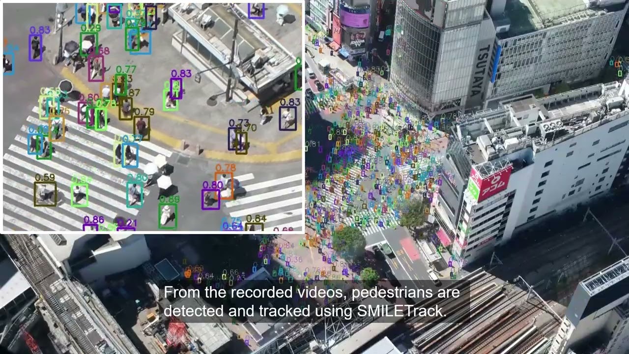 ShibuyaSocial: Multi-scale Model of Pedestrian Flows in Scramble Crossing
