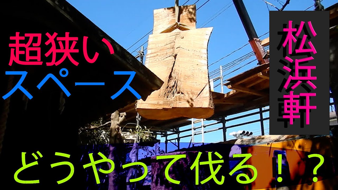 【バラバラ・・】松浜軒、社殿にベッタリの大木を「解体」！？