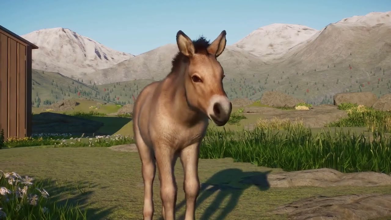 Conservation Pack Reveal! | Planet Zoo DLC 1.10