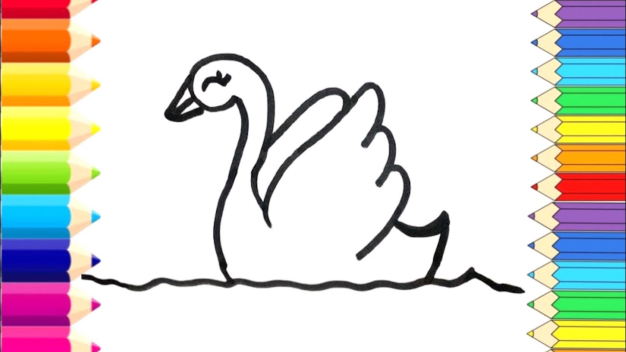 How to Draw a Cute swan Step by Step 