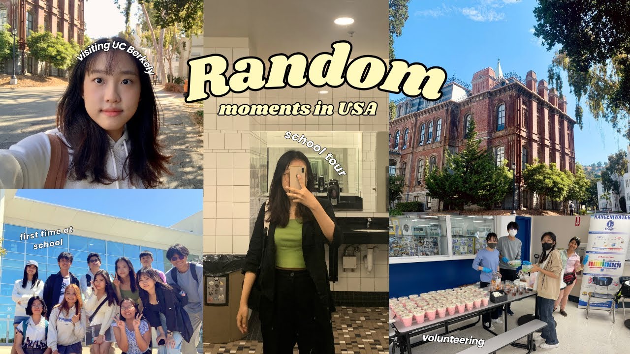✨Random moments in USA | Short vlog, school tour, early August | USA Diares #4