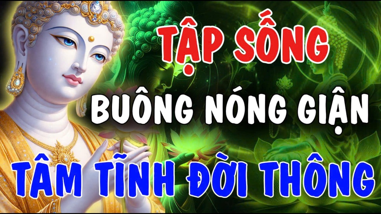TẬP SỐNG BUÔNG NÓNG GIẬN, TÂM TĨNH ĐỜI THÔNG | Phật Từ An Nhiên