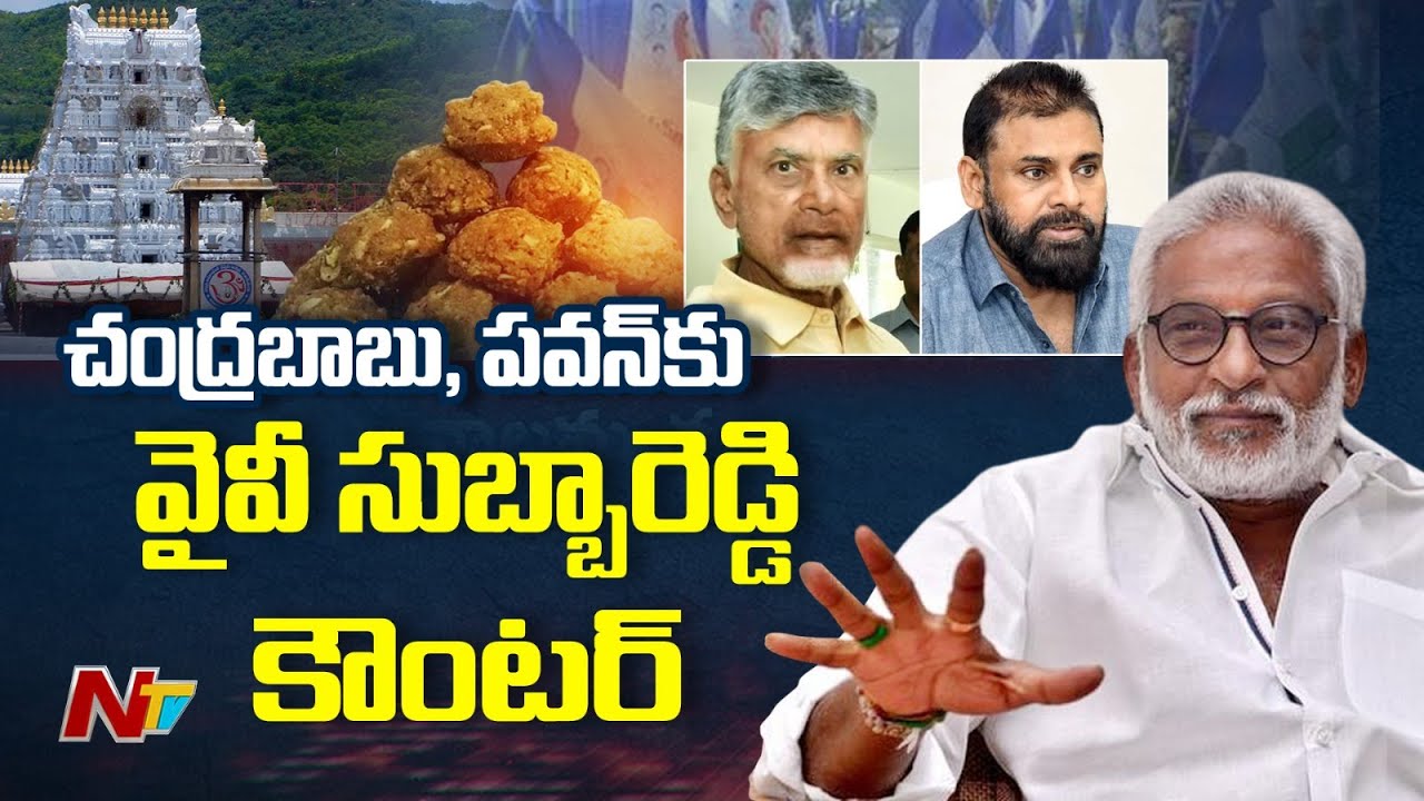 భక్తుల మనోభావాలు దెబ్బతీసేలా బాబు వ్యాఖ్యలు | YV Subba Reddy On Tirumala Laddu Issue | NTV Politics