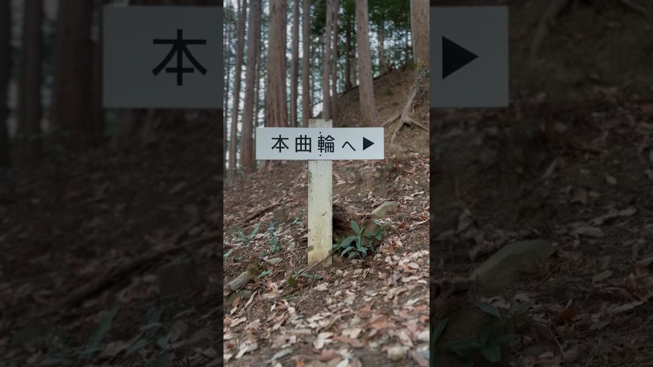 【城を観る shorts】《岩略寺城（三河国）》〜本曲輪〜 #shorts #岩略寺城 #愛知県 #豊川市 #城を観る