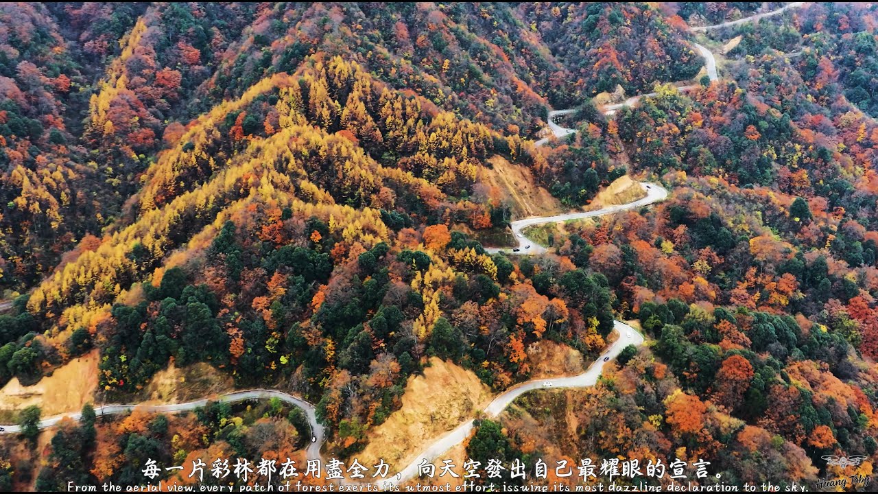四川光霧山秋韵 -4K