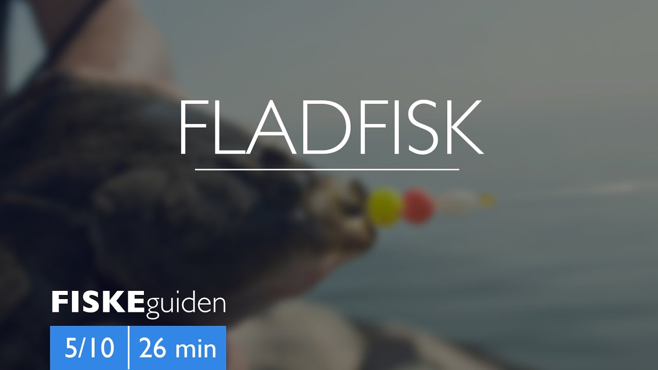 FISKEguiden 5/10: Fladfisk