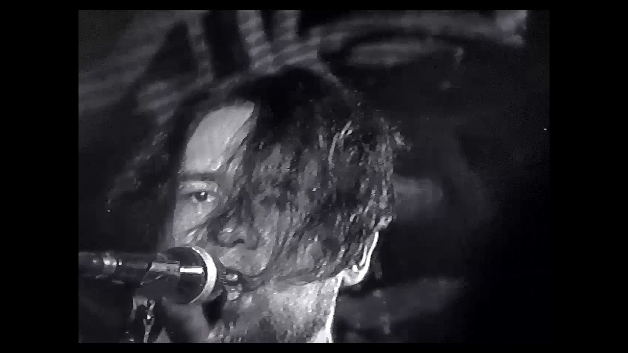 Фирма-однодневка (LIVE Syndrome Bar 2021-09-18)