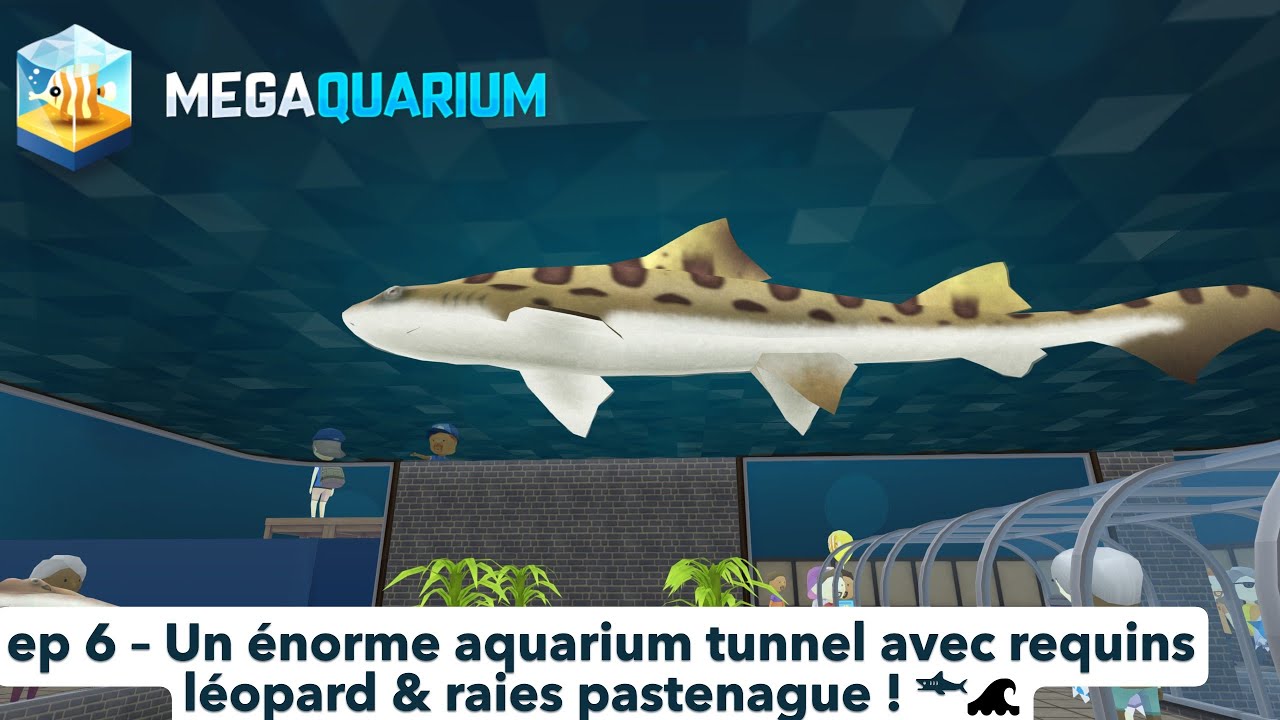 MEGAQUARIUM #6 – Un énorme aquarium tunnel avec requins léopard & raies pastenague ! 🦈🌊