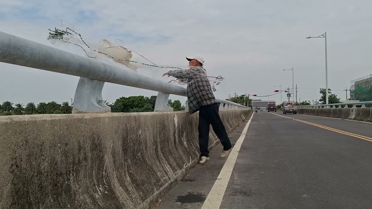 高手橋上拋網捕烏魚